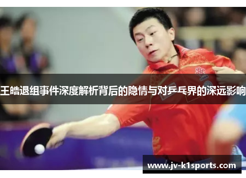 王皓退组事件深度解析背后的隐情与对乒乓界的深远影响 王皓退组事件深度解析背后的隐情与对乒乓界的深远影响