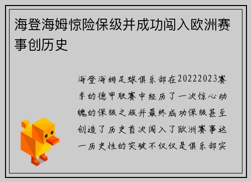 海登海姆惊险保级并成功闯入欧洲赛事创历史